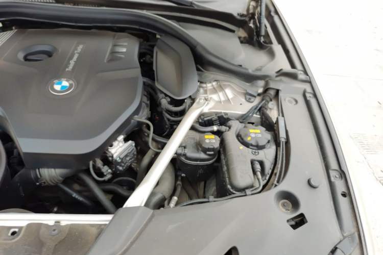 Used BMW 5 Series 2019 Facelifted 530Li Leading Edition Luxury Package Engine Bay Left