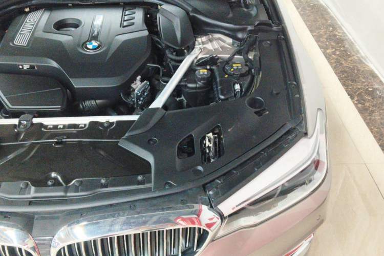 Used BMW 5 Series 2019 Facelifted 530Li Luxury Edition Premium Package Engine Bay Left