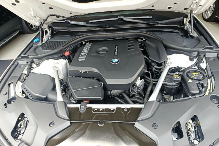 Used BMW 5 Series 2019 Restyled 530Li Luxury Edition M Sport Package Engine Bay