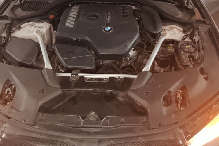 Used BMW 5 Series 2019 Facelifted 530Li Leading Edition M Sport Package Engine Bay