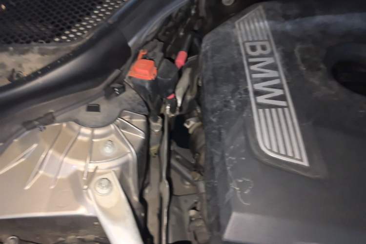 Used BMW 5 Series 2019 525Li Luxury Package Engine Bay Right