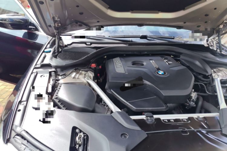 Used BMW 5 Series 2019 Facelifted 530Li Leading Edition Luxury Package Engine Bay Right