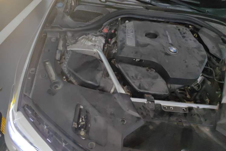 Used BMW 5 Series 2019 530Li Luxury Edition Premium Package Engine Bay Right