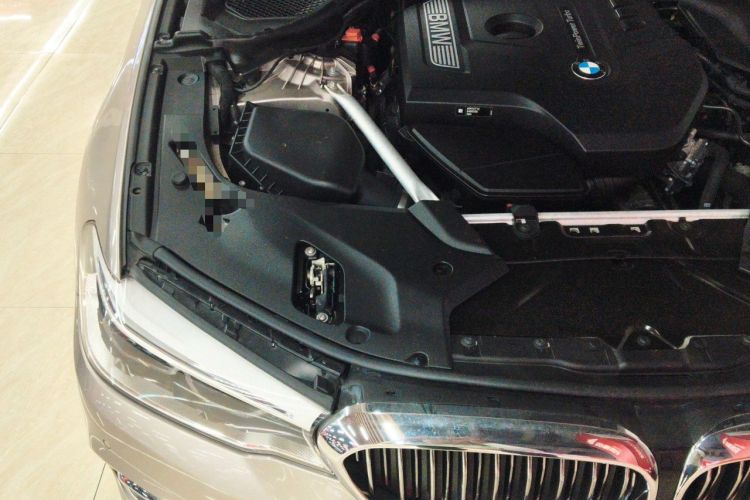 Used BMW 5 Series 2019 Facelifted 530Li Luxury Edition Premium Package Engine Bay Right