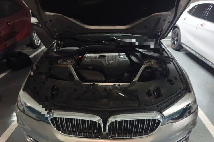 Used BMW 5 Series 2019 530Li Leading Model Luxury Package Engine Bay