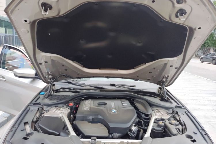 Used BMW 5 Series 2019 Facelifted 530Li Leading Edition Luxury Package Engine Bay