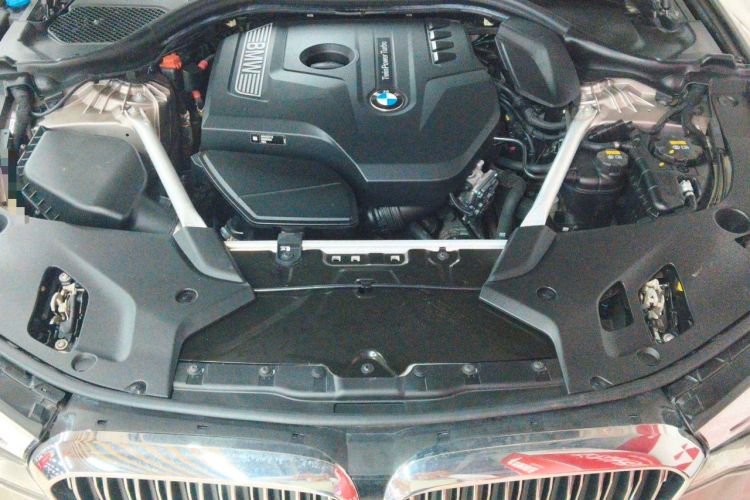 Used BMW 5 Series 2019 Facelifted 530Li Luxury Edition Premium Package Engine Bay