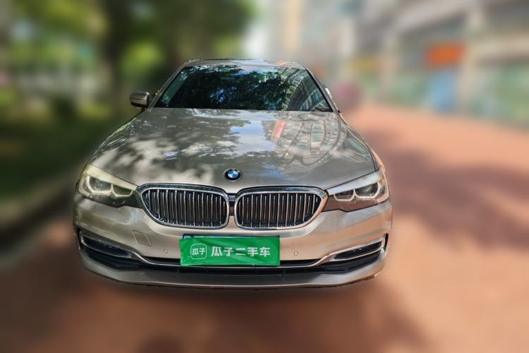 Used BMW 5 Series 2019 530Li Leading Model Luxury Package Front