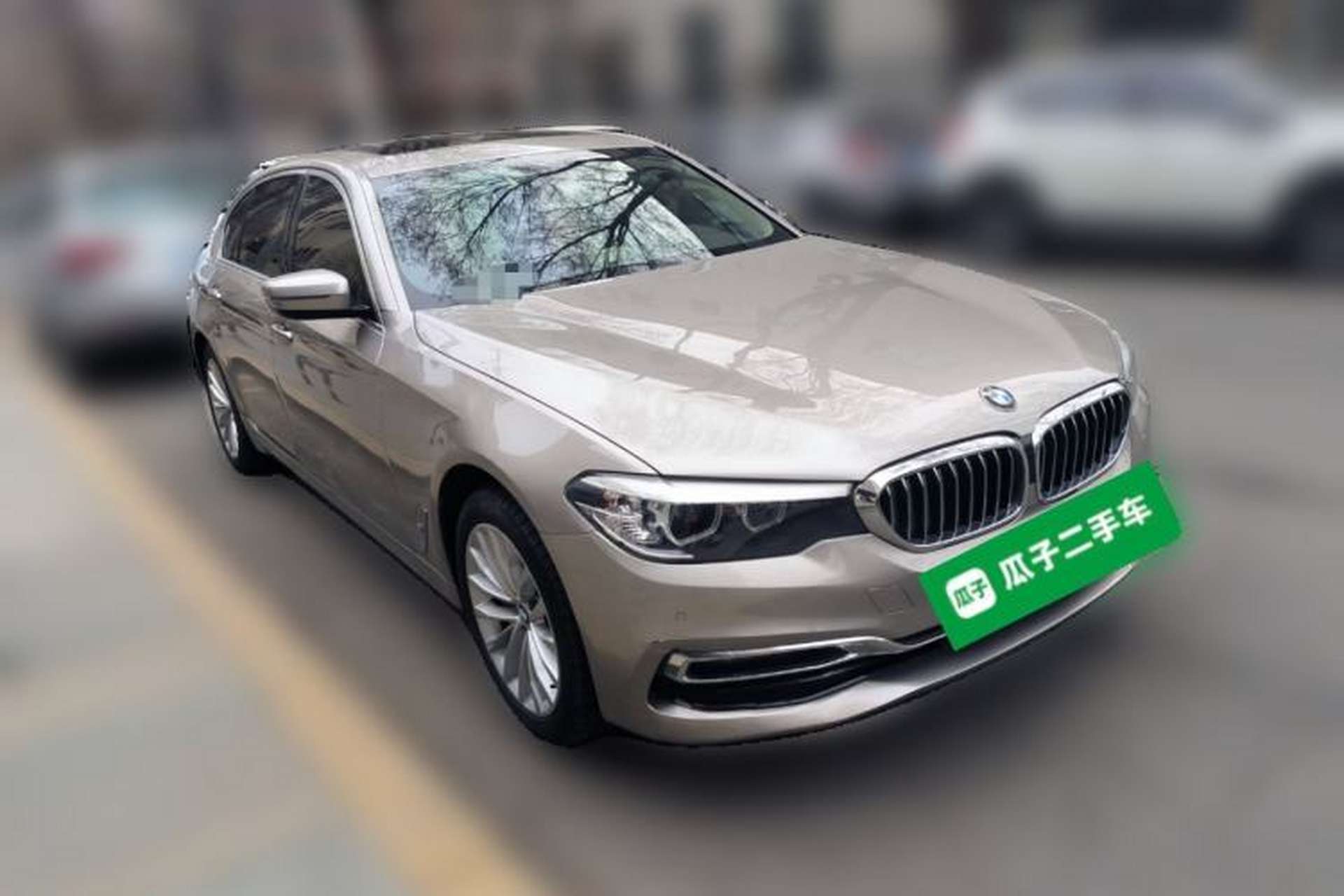 Used BMW 5 Series 2019 530Li xDrive Luxury Package Front Right 45 Deg