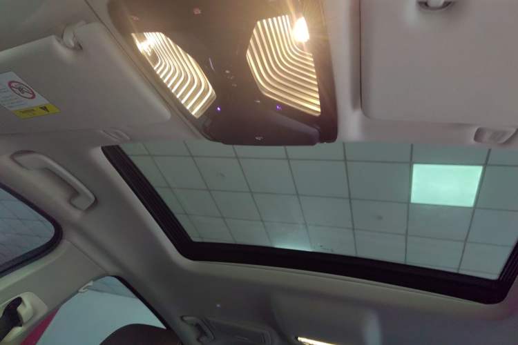 Used BMW 5 Series 2019 525Li Luxury Package Headliner