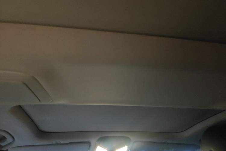 Used BMW 5 Series 2019 530Li Leading Model Luxury Package Headliner