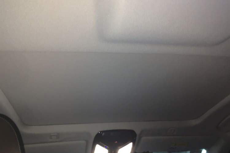 Used BMW 5 Series 2019 525Li Luxury Package Headliner