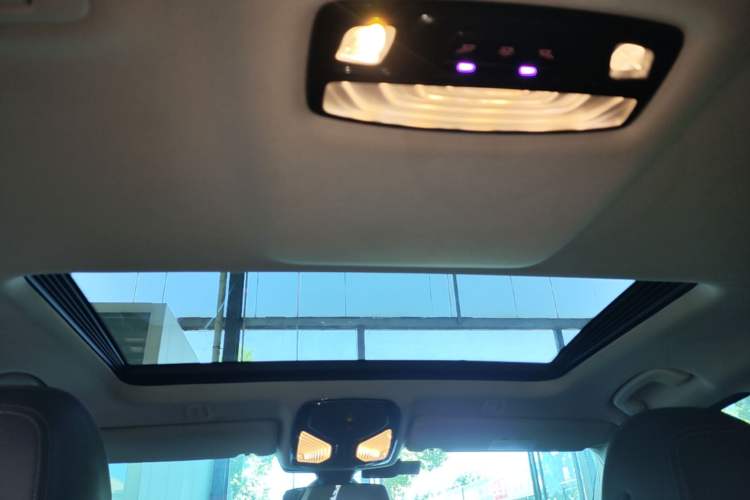 Used BMW 5 Series 2019 525Li Luxury Package Headliner