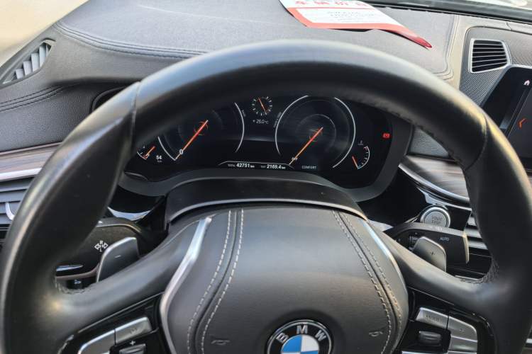 Used BMW 5 Series 2019 530Li Leading Model Luxury Package Odometer Close Up