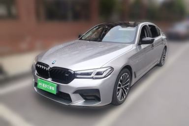 Used BMW 5 Series 2019 Facelifted 530Li Leading Edition Luxury Package