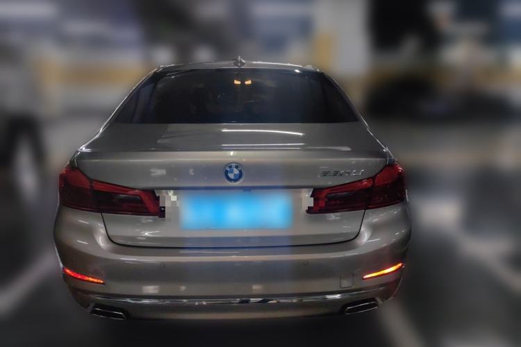 Used BMW 5 Series 2019 530Li Luxury Edition Premium Package Rear