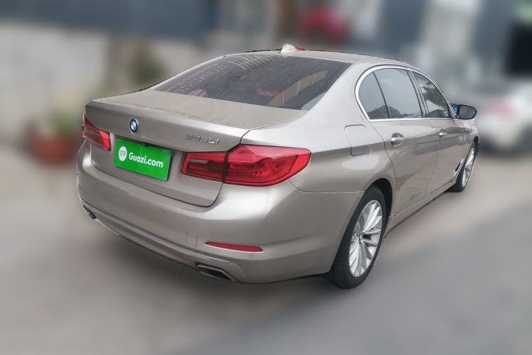 Used BMW 5 Series 2019 525Li Luxury Package Rear Right 45 Deg