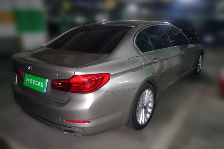 Used BMW 5 Series 2019 530Li Leading Model Luxury Package Rear Right 45 Deg
