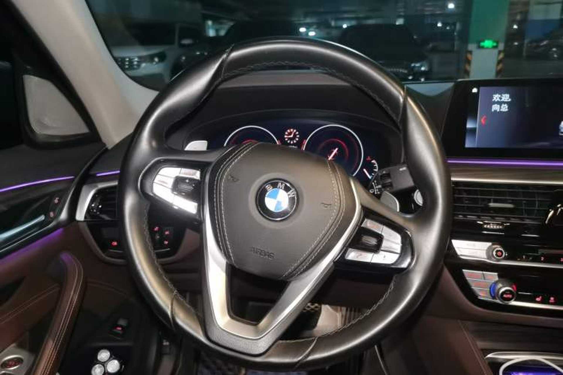 Used BMW 5 Series 2019 530Li Leading Model Luxury Package Steering Wheel