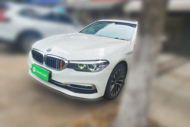 Used BMW 5 Series 2019 530Li xDrive Luxury Package