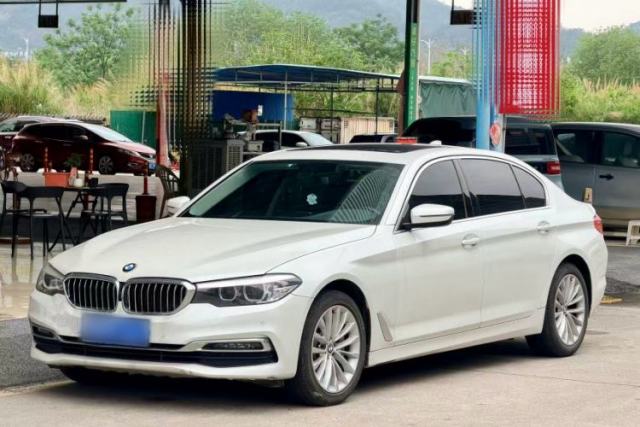 Used BMW 5 Series 2019 530Li Leading Model Luxury Package