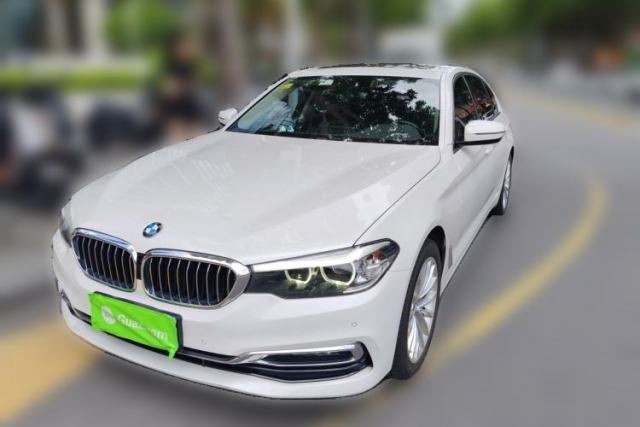 Used BMW 5 Series 2019 530Li Leading Model Luxury Package