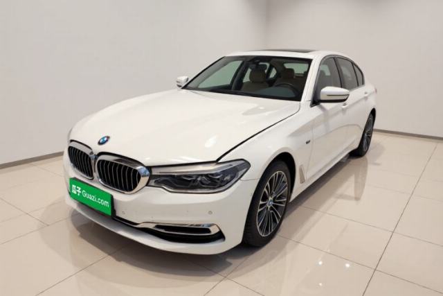 Used BMW 5 Series 2019 530Li Luxury Edition Premium Package