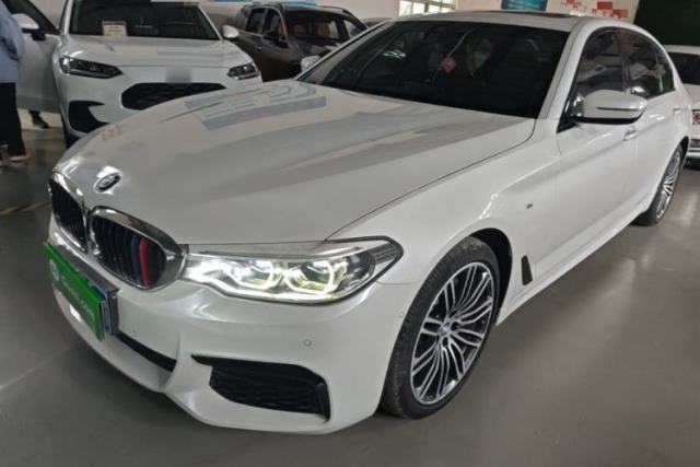 Used BMW 5 Series 2019 530Li Luxury Edition M Sport Package