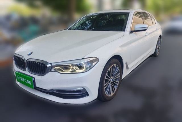 Used BMW 5 Series 2019 530Li Luxury Edition Premium Package