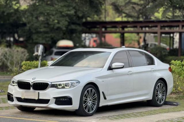 Used BMW 5 Series 2019 530Li Leading Model M Sport Package