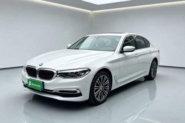 Used BMW 5 Series 2019 530Li Luxury Edition Premium Package