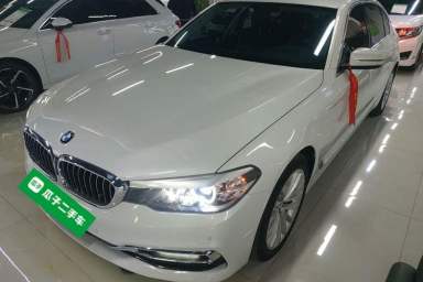 Used BMW 5 Series 2019 530Li xDrive Luxury Package