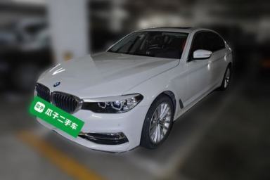 Used BMW 5 Series 2019 530Li Leading Model Luxury Package