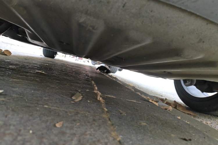 Used BMW 5 Series 2019 525Li M Sport Package Chassis Front