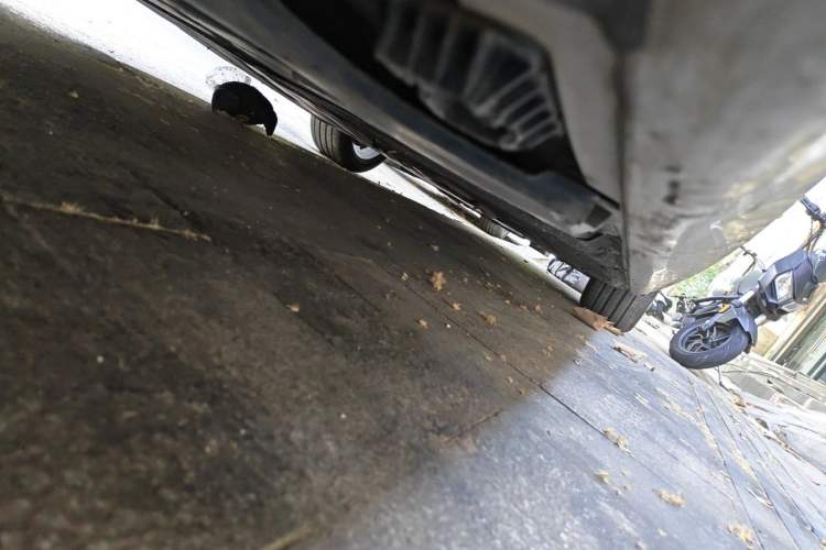 Used BMW 5 Series 2019 525Li M Sport Package Chassis Rear Right
