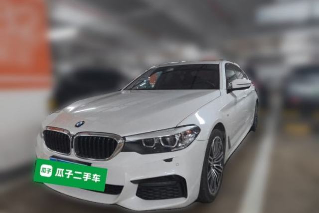 BMW 5 Series 2019 530Li Leading Model M Sport Package usado