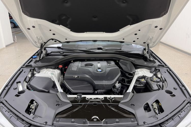 Used BMW 5 Series 2019 Facelifted 530Li Luxury Edition Premium Package Engine Bay
