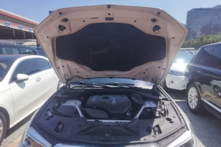 Used BMW 5 Series 2019 Facelifted 530Li Luxury Edition Premium Package Engine Bay