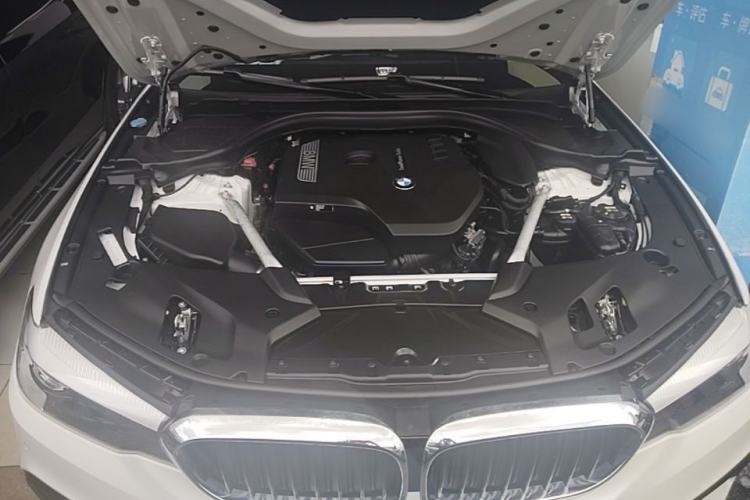 Used BMW 5 Series 2019 Facelifted 530Li Leading Edition M Sport Package Engine Bay