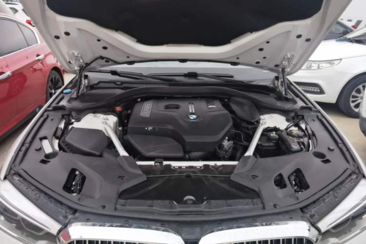 Used BMW 5 Series 2019 530Li Luxury Edition Premium Package Engine Bay