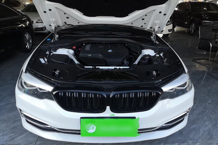 Used BMW 5 Series 2019 Facelifted 530Li Leading Edition Luxury Package Engine Bay