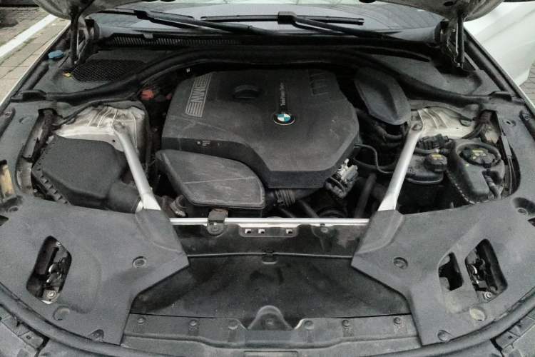Used BMW 5 Series 2019 530Li Luxury Edition M Sport Package Engine Bay