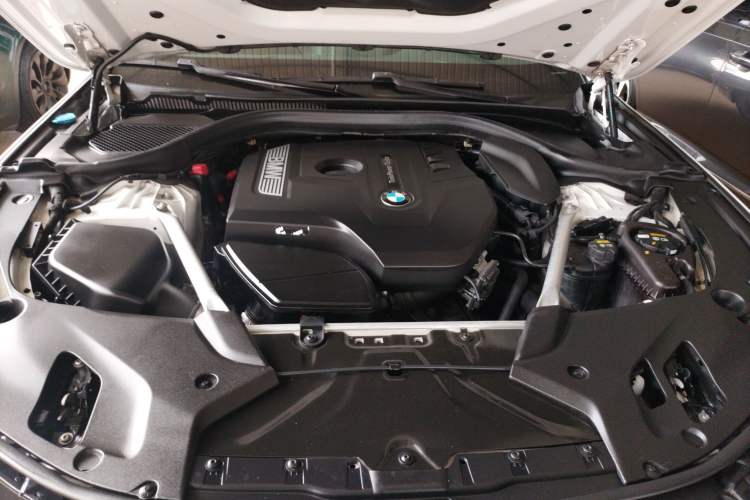 Used BMW 5 Series 2019 530Li Leading Model Luxury Package Engine Bay