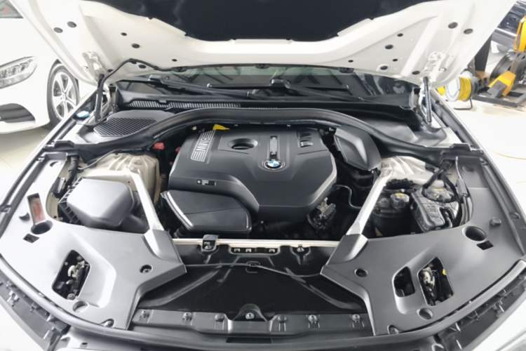 Used BMW 5 Series 2019 Restyled 530Li Luxury Edition M Sport Package Engine Bay