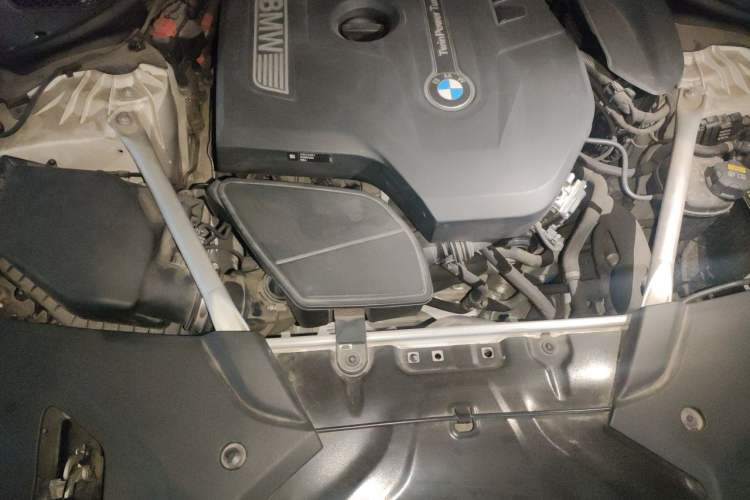 Used BMW 5 Series 2019 530Li Leading Model M Sport Package Engine Bay
