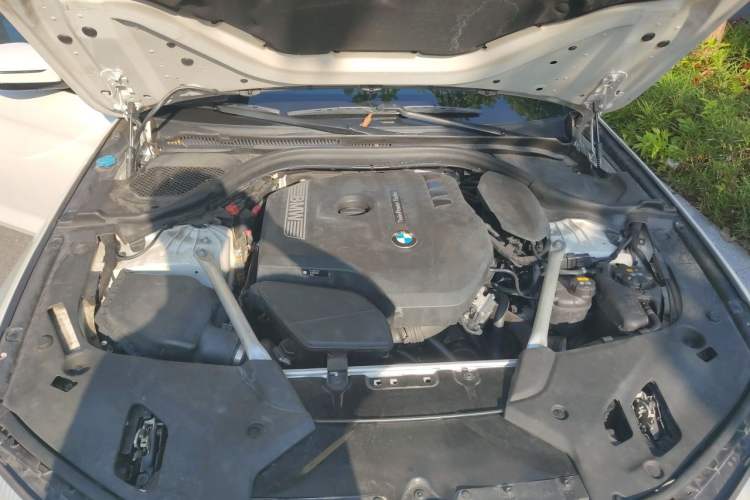 Used BMW 5 Series 2019 Facelifted 530Li Leading Edition M Sport Package Engine Bay