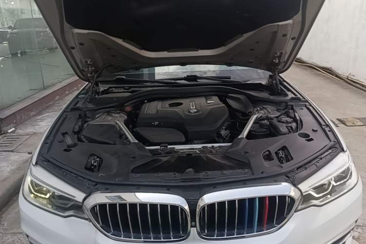 Used BMW 5 Series 2019 Facelifted 530Li Luxury Edition Premium Package Engine Bay