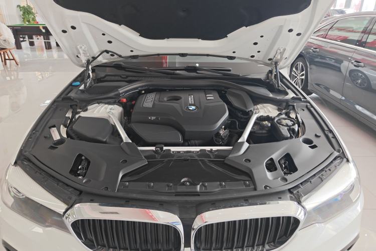 Used BMW 5 Series 2019 530Li Leading Model M Sport Package Engine Bay