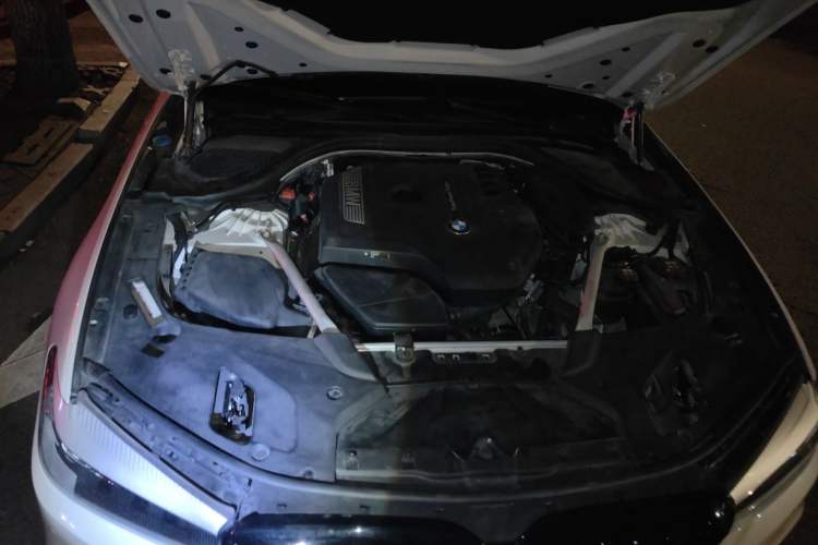 Used BMW 5 Series 2019 525Li M Sport Package Engine Bay