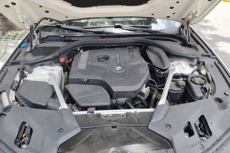 Used BMW 5 Series 2019 530Li Leading Model Luxury Package Engine Bay